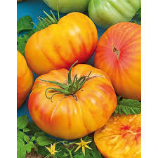 tomates ananas les 500gr